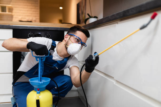 Best Bed Bug Extermination  in College Park, MD