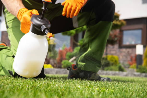 Best Flea Control Services  in College Park, MD