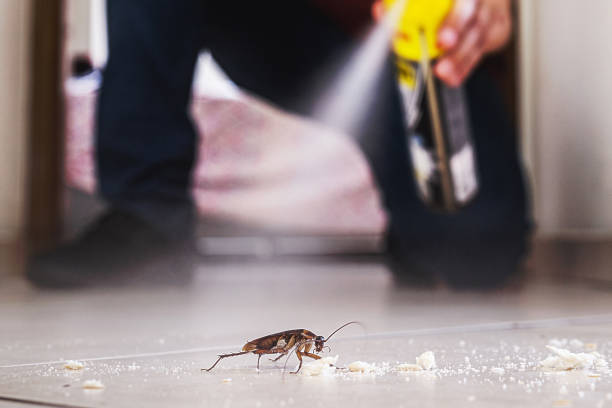 Best Best Pest Control Companies  in College Park, MD