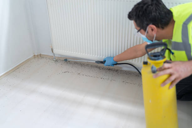 Best Mosquito Control Services  in College Park, MD