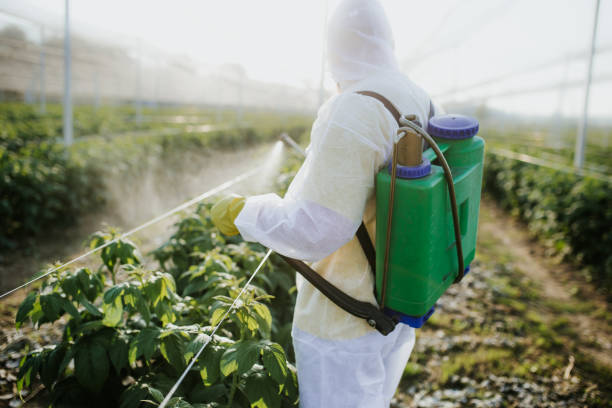 College Park, MD Pest Control Company